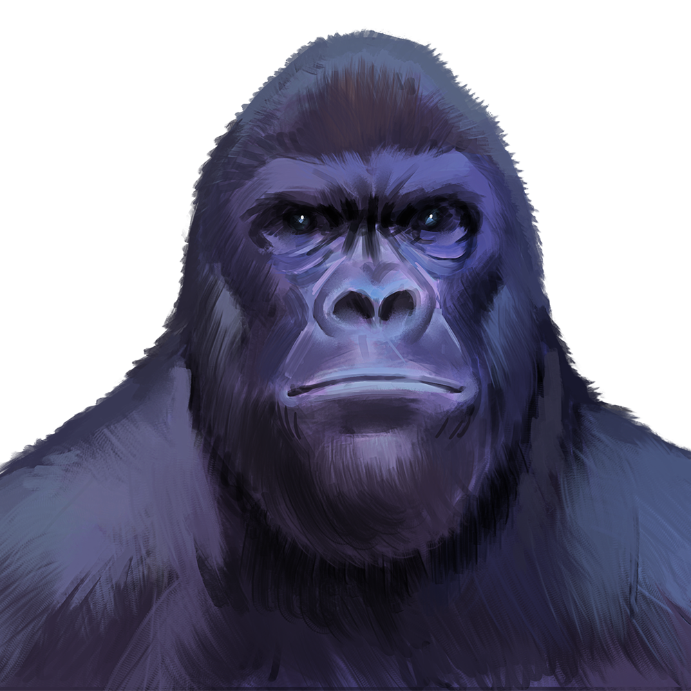 Fabian ";efe" Urbina Ampuero / Programmer