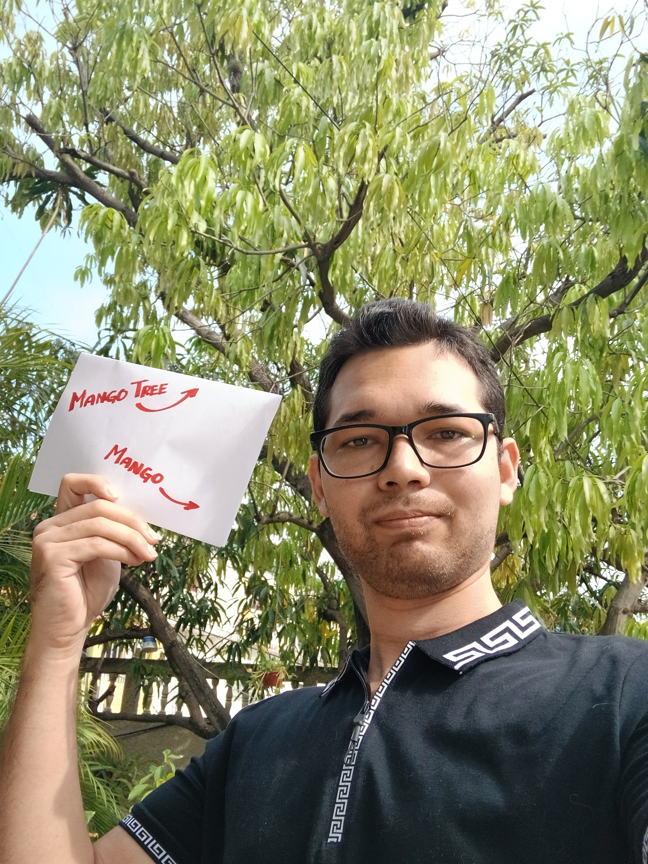 Jesus "Mango" Ramos / 2D Artist